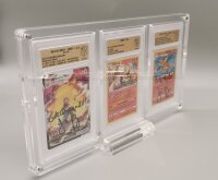 Acryl Case für GSG grading Cases 3-Fach/Triple...