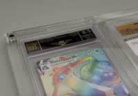 Acryl Case für GSG grading Cases 3-Fach/Triple INKLUSIVE Standfuß